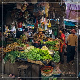 Marché central de Phnom Penh (5)