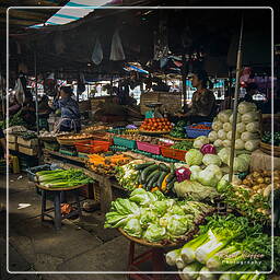 Phnom Penh Central Market (8)