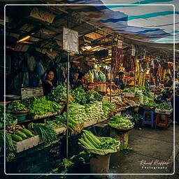 Hauptmarkt von Phnom Penh (9)