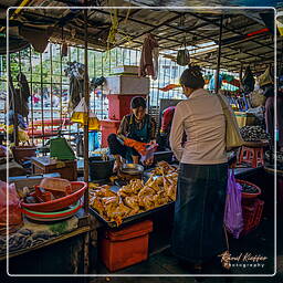 Marché central de Phnom Penh (13)