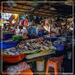 Mercato Centrale di Phnom Penh (15)