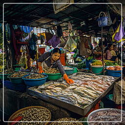 Hauptmarkt von Phnom Penh (18)