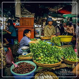 Mercado Central de Phnom Penh (19)