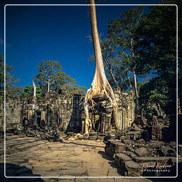 Preah Khan (2)