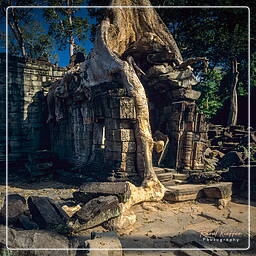 Preah Khan (3)