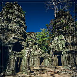 Ta Prohm (2)