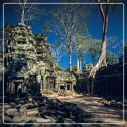 Ta Prohm (4)