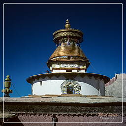 Tibet (215) Gyantse