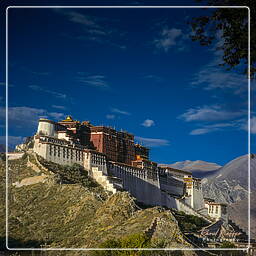 Tibet (85) Lhassa - Potala