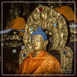 Lhasa - Potala, Tibet (91)