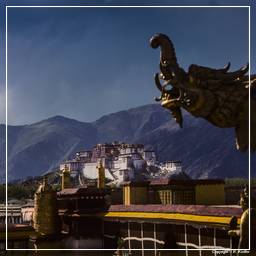 Tibet (97) Lhasa - Jokhang