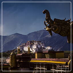 Lhasa - Jokhang, Tibet (97)