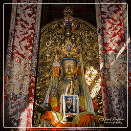 Lhasa - Jokhang, Tibet (105)