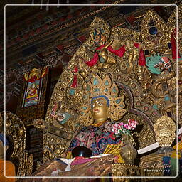Lhasa - Jokhang, Tibet (106)