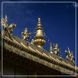 Tibet (107) Lhassa - Jokhang