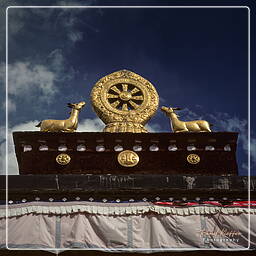 Tibet (115) Lhassa - Jokhang