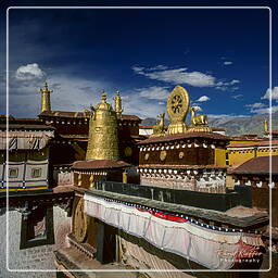 Lhasa - Jokhang, Tibet (117)