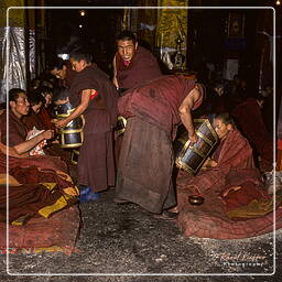 Tibet (128)
