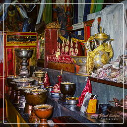 Tibet (135)