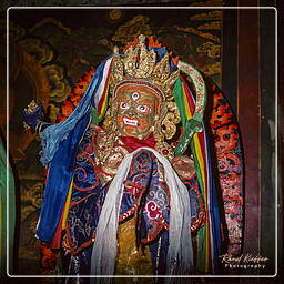 Tibet (141)