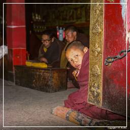 Tibet (151) Ganden