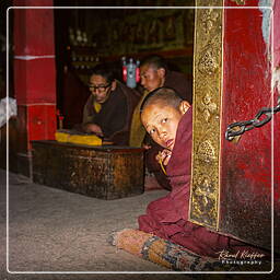 Ganden, Tibet (151)