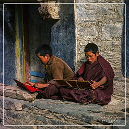 Tibet (165)