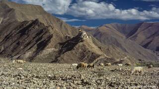 Tibet (171) Yumbulagang