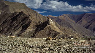 Tibet, Yumbu Lakhang, Tibet, China
