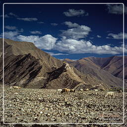 Yumbu Lakhang, Tibet (171)