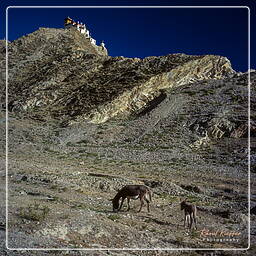 Yumbu Lakhang, Tibet (172)