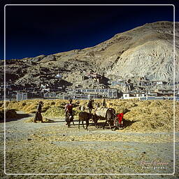 Sakya, Tibet (227)