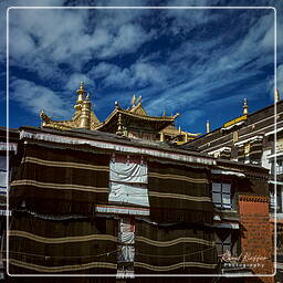 Shigatse - Tashilumpo, Tibet (30)