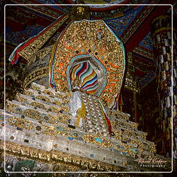 Shigatse - Tashilumpo, Tibet (35)