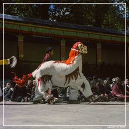 Tíbet (58) Shigatse - Tashilumpo