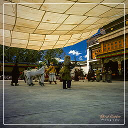 Shigatse - Tashilumpo, Tibet (59)