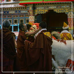 Tíbet (61) Shigatse - Tashilumpo