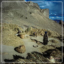Shigatse - Tashilumpo, Tibet (71)