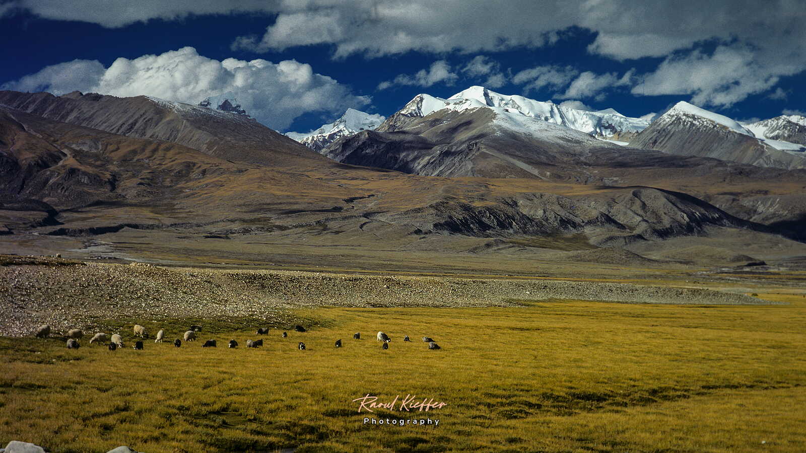 Tibetan Landscapes