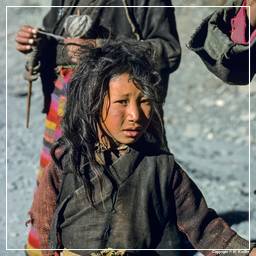 Tibet (206)