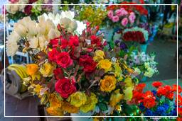 Nizza (17) Blumenmarkt