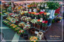 Nice (21) Marché aux fleurs