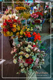 Nice (23) Marche aux Fleurs