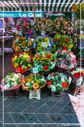 Nizza (28) Blumenmarkt