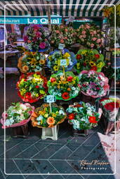 Nice (28) Marché aux fleurs