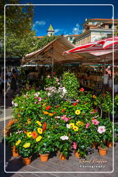 Nice (36) Marché aux fleurs