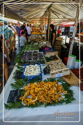 Nizza (47) Blumenmarkt