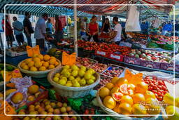 Nizza (54) Blumenmarkt