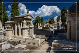 Nizza (99) Friedhof