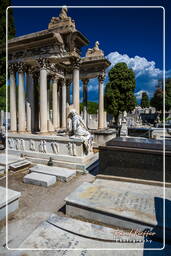 Nizza (101) Cimitero